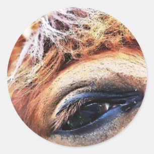 HORSES CLASSIC ROUND STICKER