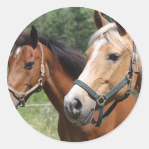 Horses Classic Round Sticker