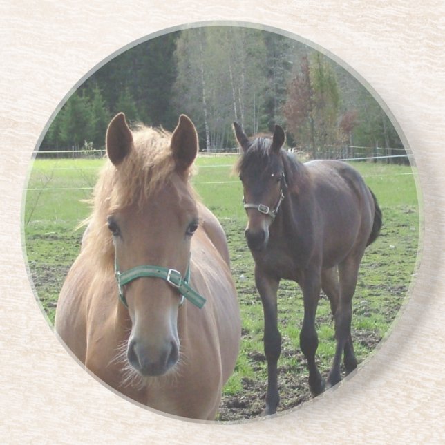 Horses coaster (Front)