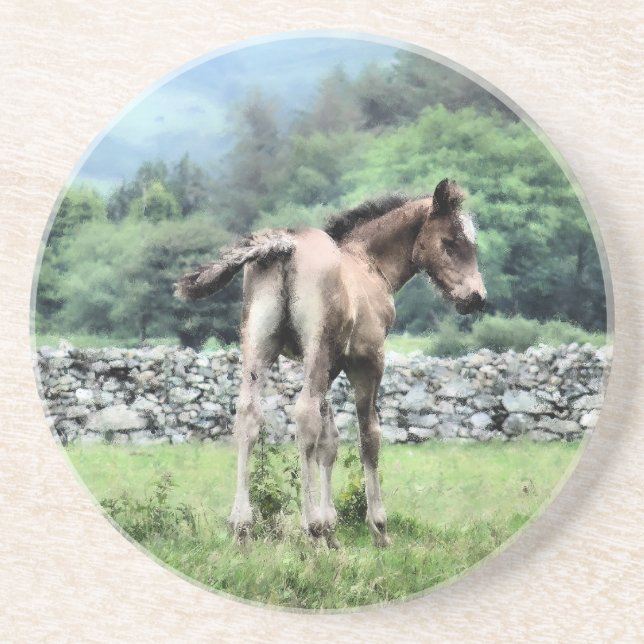 HORSES COASTER (Front)