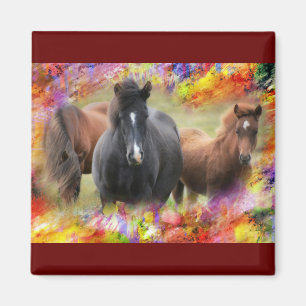 Horses Colourful Magnet
