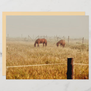 Horses Country Farm Rustic Brown Decoupage