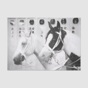 Horses Country Rustic Black And White Western Tissue Paper