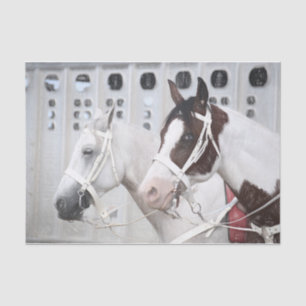 Horses Country Rustic White Brown Western Tissue Paper