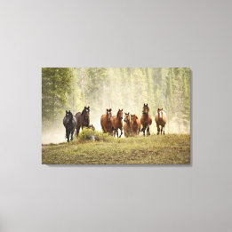 Horses cresting small hill during roundup, canvas print