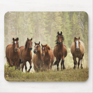 Horses cresting small hill during roundup mouse mat