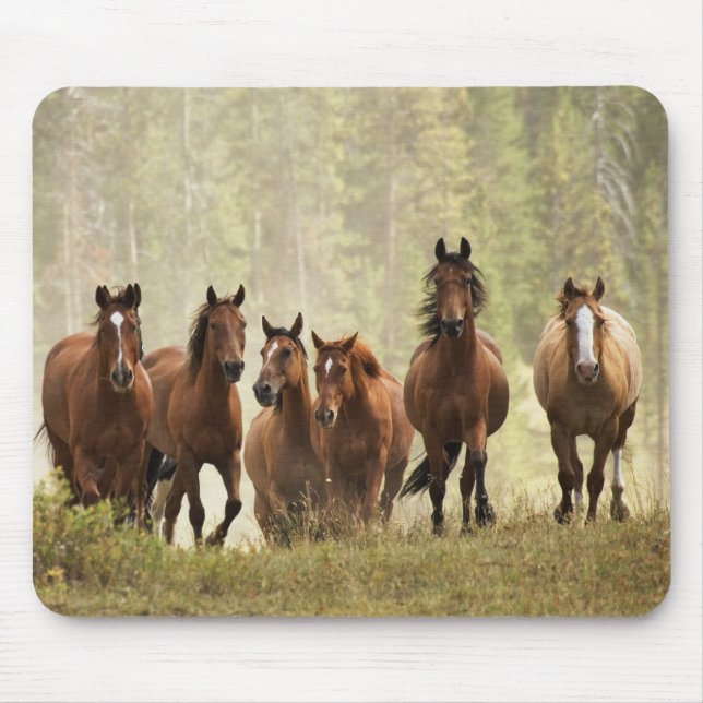 Horses cresting small hill during roundup mouse mat (Front)