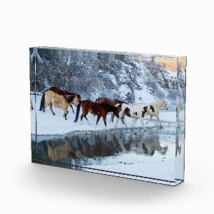 Horses Crossing the Creek Photo Block