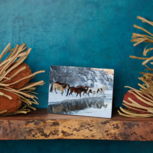 Horses Crossing the Creek Plaque