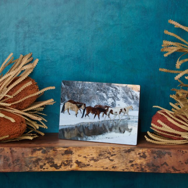 Horses Crossing the Creek Plaque (Side)