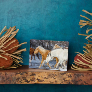 Horses Crossing the Stream Plaque