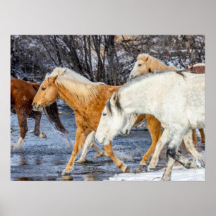 Horses Crossing the Stream Poster