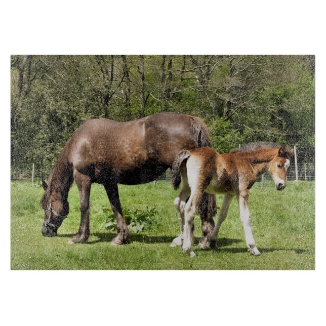 HORSES CUTTING BOARD (Front)