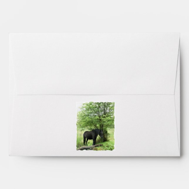 HORSES ENVELOPE (Back (Top Flap))