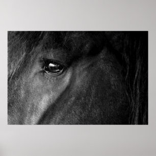 Horses eye poster