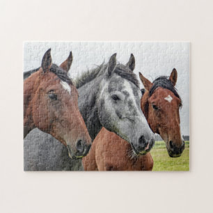 Horses Farm Animal Nature Jigsaw Puzzle