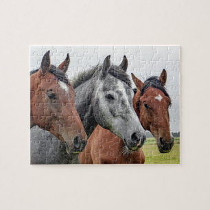 Horses Farm Animal Nature Jigsaw Puzzle