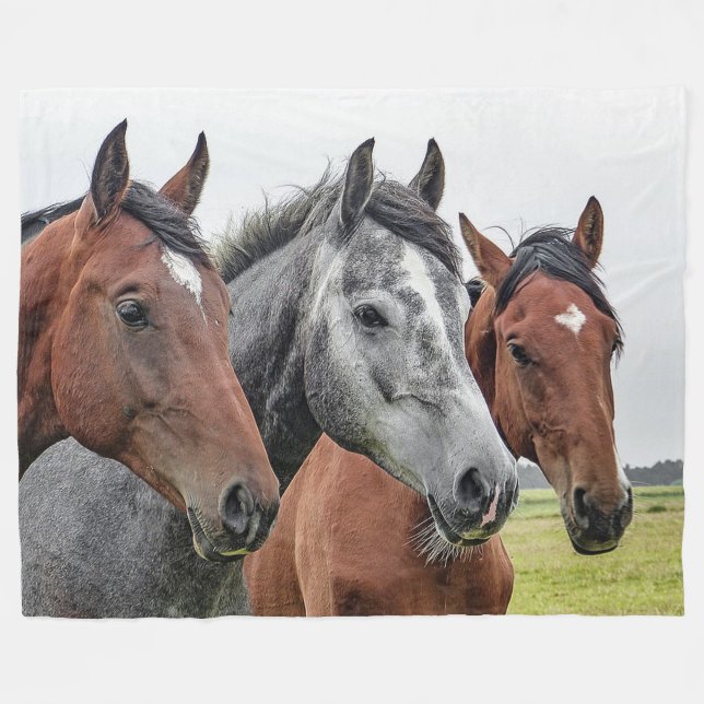 Horses Fleece Blanket (Front (Horizontal))