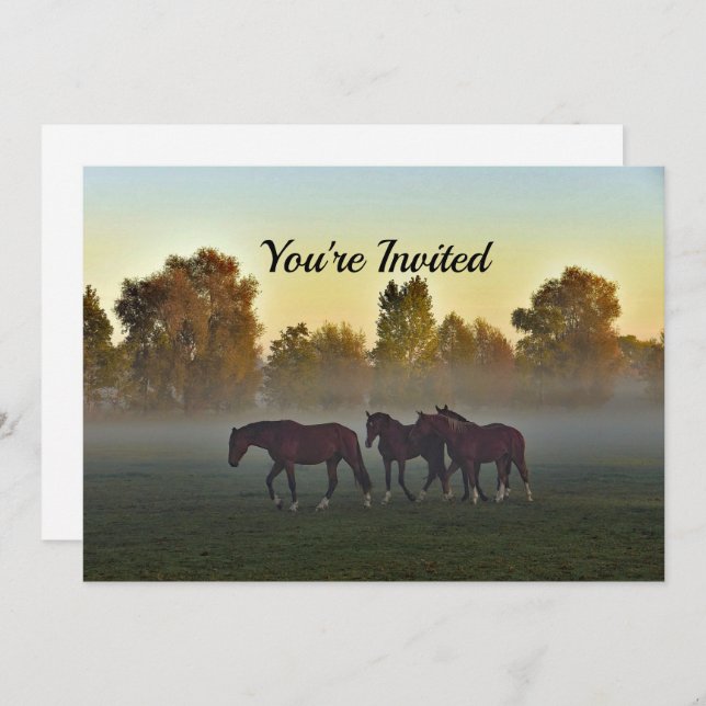 Horses Fog Birthday Invitation (Front/Back)
