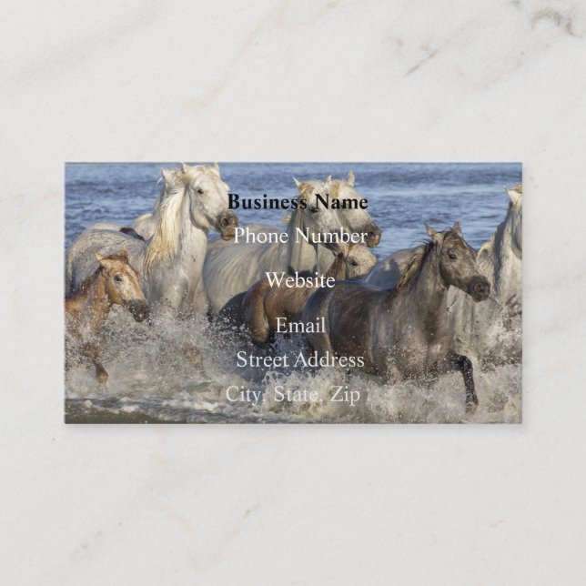 Horses galloping in the water business card (Front)
