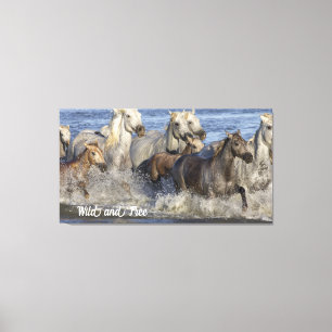 Horses galloping in the water canvas print