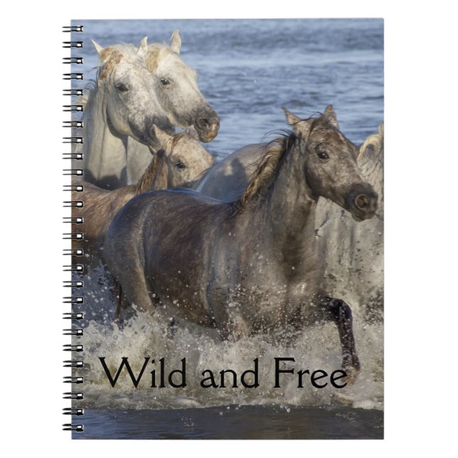 Horses galloping in the water notebook (Front)