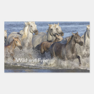 Horses galloping in the water rectangular sticker