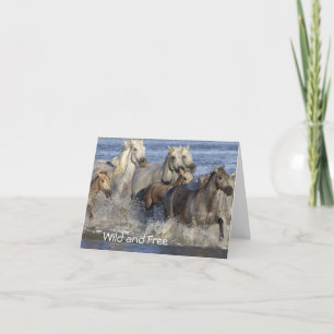 Horses galloping in the water thank you card