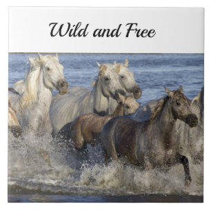 Horses galloping in the water tile