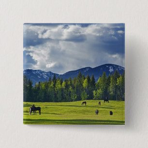 Horses graze in pasture near Whitefish, 15 Cm Square Badge