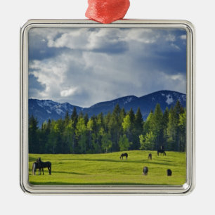 Horses graze in pasture near Whitefish, Metal Tree Decoration