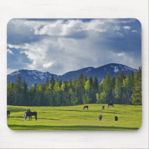 Horses graze in pasture near Whitefish, Mouse Mat