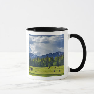 Horses graze in pasture near Whitefish, Mug