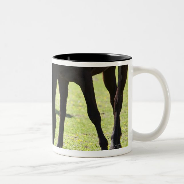 Horses grazing 2 Two-Tone coffee mug (Right)