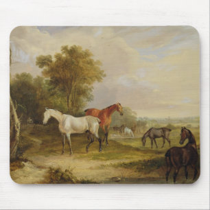 Horses Grazing: A Grey Stallion grazing with Mares Mouse Mat