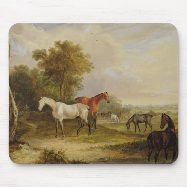 Horses Grazing: A Grey Stallion grazing with Mares Mouse Mat (Front)