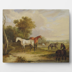 Horses Grazing: A Grey Stallion grazing with Mares Plaque