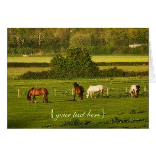Horses grazing at Bower Hinton, Somerset