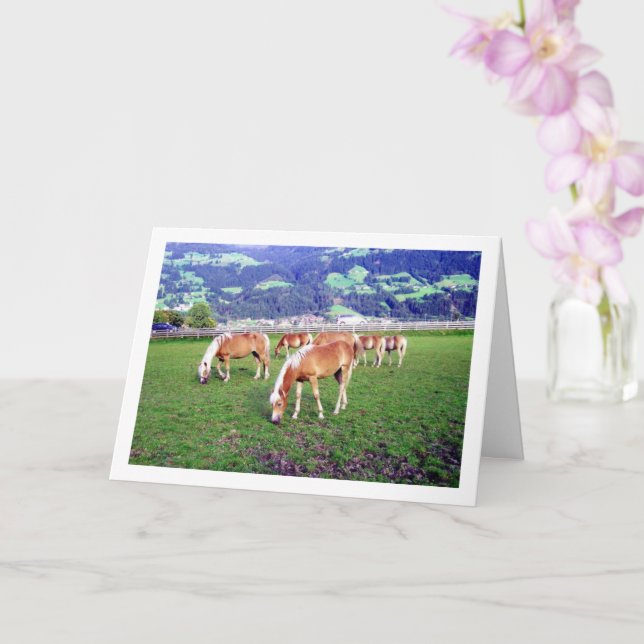 Horses Grazing in Austria Card (Orchid)