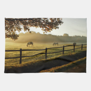 Horses Grazing in Sunrise Pasture Tea Towel