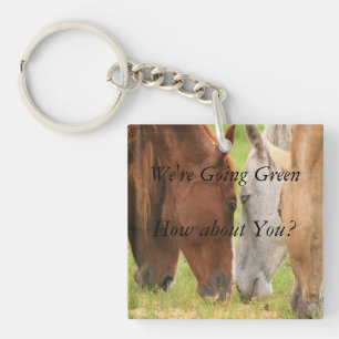 Horses grazing key ring