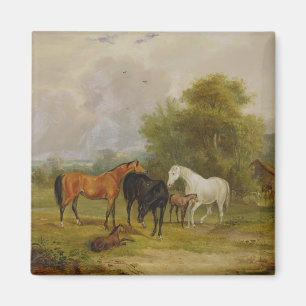 Horses Grazing: Mares and Foals in a Field (oil on Magnet
