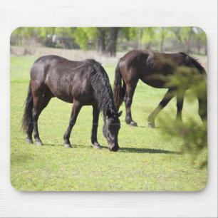 horses grazing on a horse farm mouse mat
