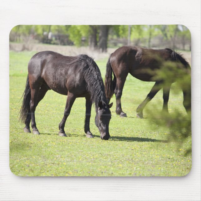horses grazing on a horse farm mouse mat (Front)