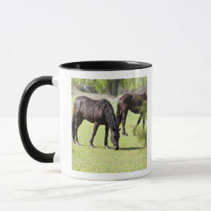 horses grazing on a horse farm mug