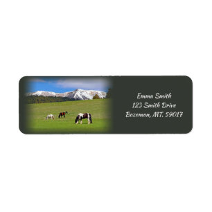 Horses Grazing return address