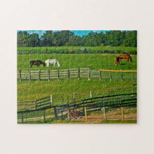 Horses Grazing Wisconsin. Jigsaw Puzzle