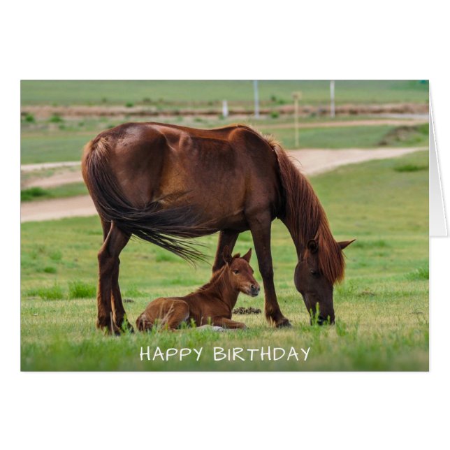 Horses Happy Birthday Card (Front Horizontal)