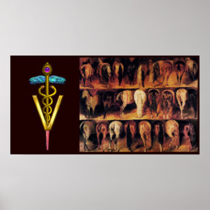Horses' Hindquarter / CADUCEUS VETERINARY SYMBOL Poster