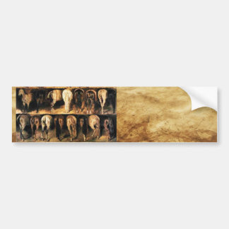 bumper sticker paper bumper sticker paper
